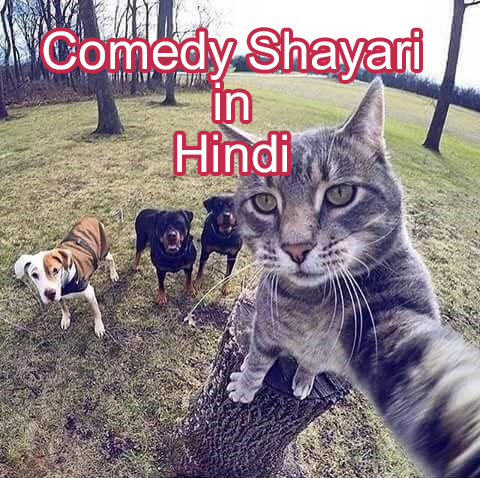 comedy shayari