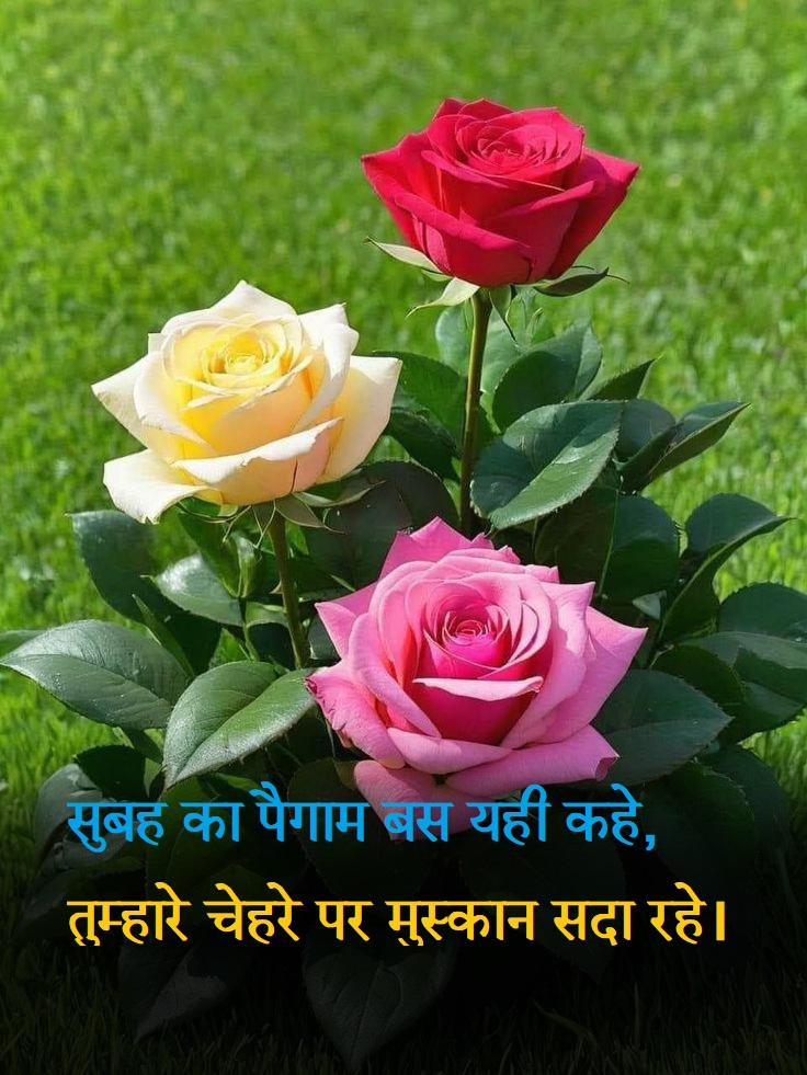 Good Morning Shayari 